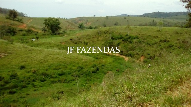 Fazenda em Estrela Dalva – MG – 1321,32 hectares Fazenda em Estrela Dalva – MG – 1321,32 hectares