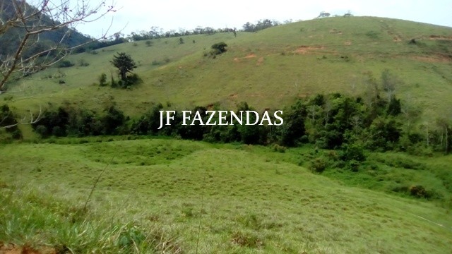 Fazenda em Estrela Dalva – MG – 1321,32 hectares Fazenda em Estrela Dalva – MG – 1321,32 hectares