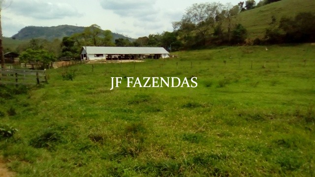 Fazenda em Estrela Dalva – MG – 1321,32 hectares Fazenda em Estrela Dalva – MG – 1321,32 hectares