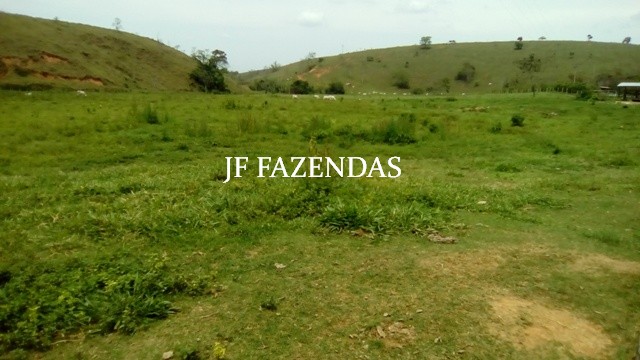 Fazenda em Estrela Dalva – MG – 1321,32 hectares Fazenda em Estrela Dalva – MG – 1321,32 hectares