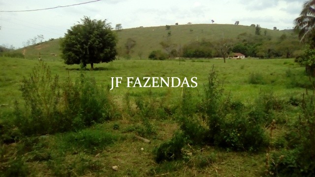 Fazenda em Estrela Dalva – MG – 1321,32 hectares Fazenda em Estrela Dalva – MG – 1321,32 hectares