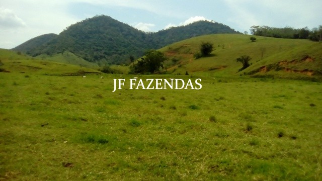 Fazenda em Estrela Dalva – MG – 1321,32 hectares Fazenda em Estrela Dalva – MG – 1321,32 hectares
