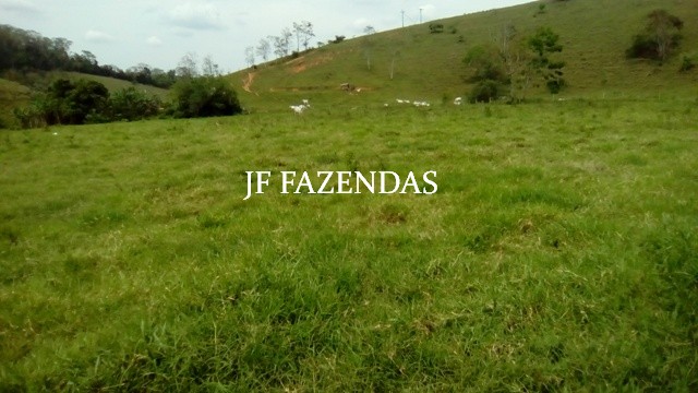 Fazenda em Estrela Dalva – MG – 1321,32 hectares Fazenda em Estrela Dalva – MG – 1321,32 hectares