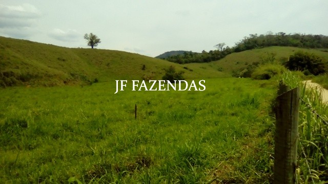 Fazenda em Estrela Dalva – MG – 1321,32 hectares Fazenda em Estrela Dalva – MG – 1321,32 hectares
