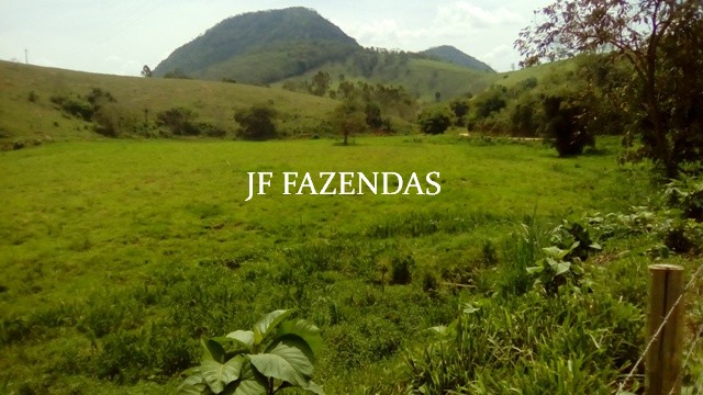 Fazenda em Estrela Dalva – MG – 1321,32 hectares Fazenda em Estrela Dalva – MG – 1321,32 hectares