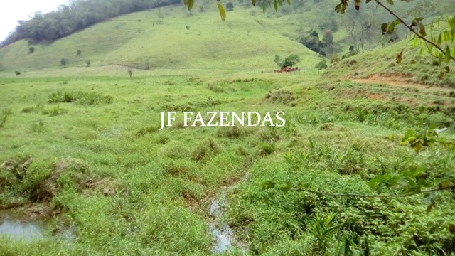 Fazenda em Estrela Dalva – MG – 1321,32 hectares Fazenda em Estrela Dalva – MG – 1321,32 hectares