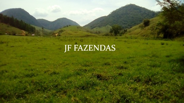 Fazenda em Estrela Dalva – MG – 1321,32 hectares Fazenda em Estrela Dalva – MG – 1321,32 hectares