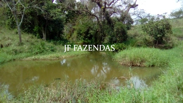Fazenda em Estrela Dalva – MG – 1321,32 hectares Fazenda em Estrela Dalva – MG – 1321,32 hectares