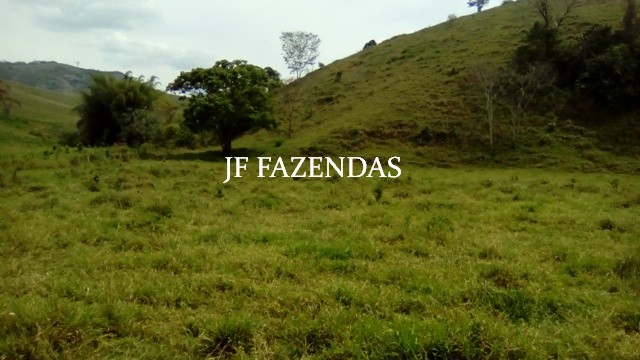 Fazenda em Estrela Dalva – MG – 1321,32 hectares Fazenda em Estrela Dalva – MG – 1321,32 hectares