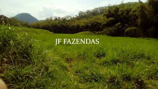 Fazenda em Estrela Dalva – MG – 1321,32 hectares Fazenda em Estrela Dalva – MG – 1321,32 hectares