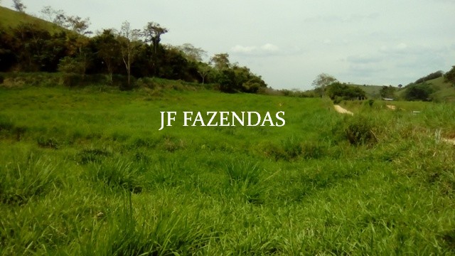 Fazenda em Estrela Dalva – MG – 1321,32 hectares Fazenda em Estrela Dalva – MG – 1321,32 hectares