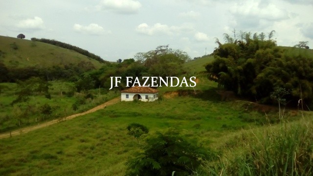 Fazenda em Estrela Dalva – MG – 1321,32 hectares Fazenda em Estrela Dalva – MG – 1321,32 hectares