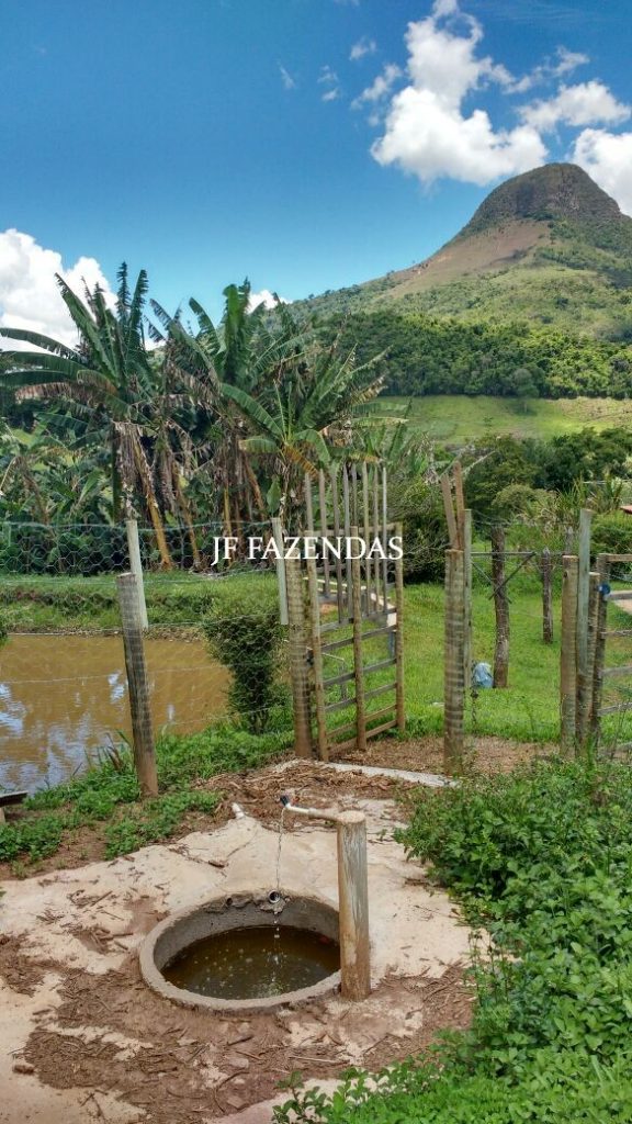 Sítio em Lima Duarte-MG – 3 hectares Sítio em Lima Duarte-MG – 3 hectares