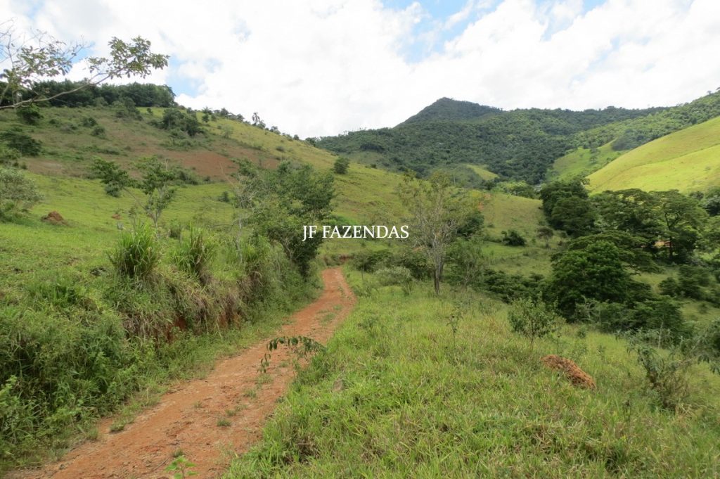Sitio em Piau- MG -17.4 hectares Sitio em Piau- MG -17.4 hectares
