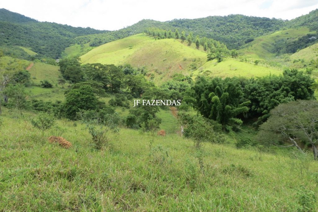 Sitio em Piau- MG -17.4 hectares Sitio em Piau- MG -17.4 hectares
