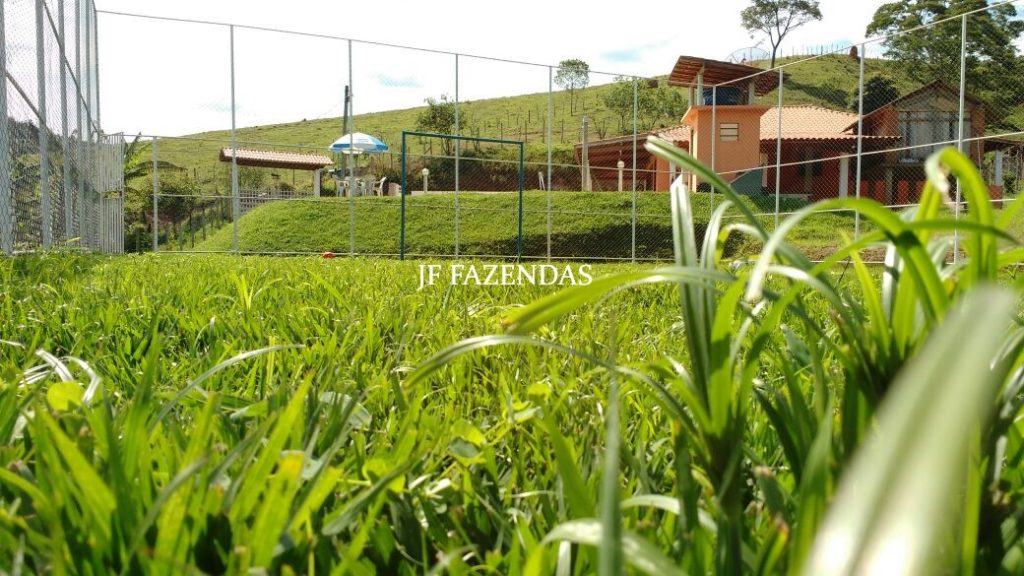 Sítio em Lima Duarte-MG – 3 hectares Sítio em Lima Duarte-MG – 3 hectares