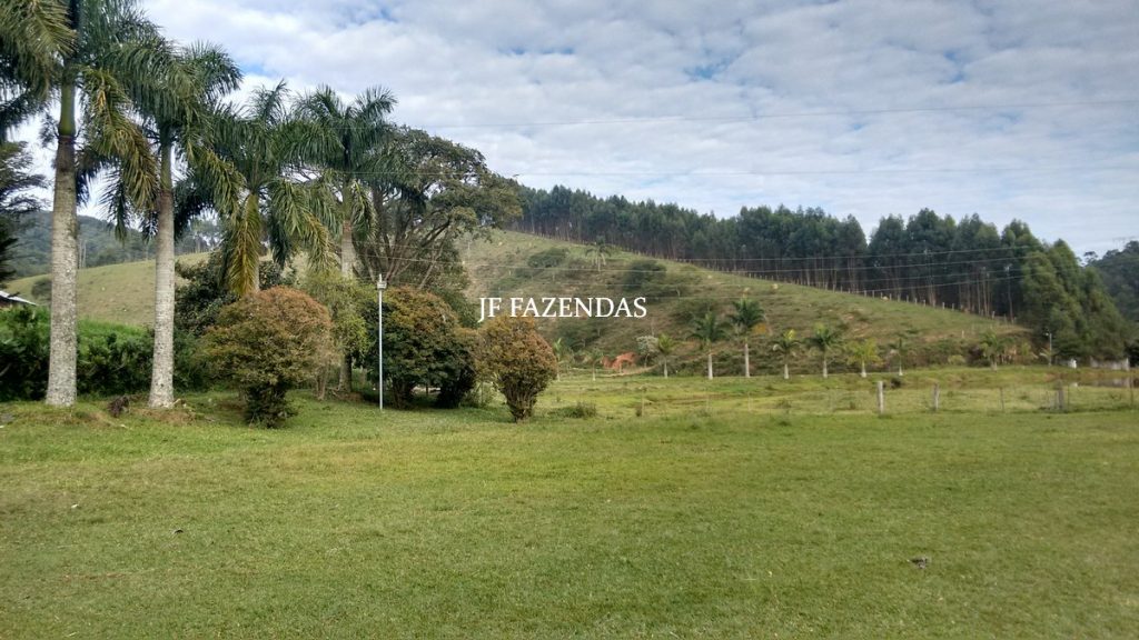 Sítio em Juiz de Fora – MG – 52 hectares Sítio em Juiz de Fora – MG – 52 hectares