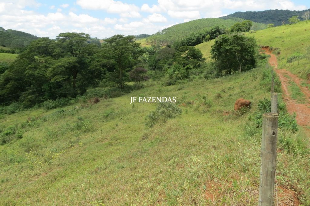 Sitio em Piau- MG -17.4 hectares Sitio em Piau- MG -17.4 hectares