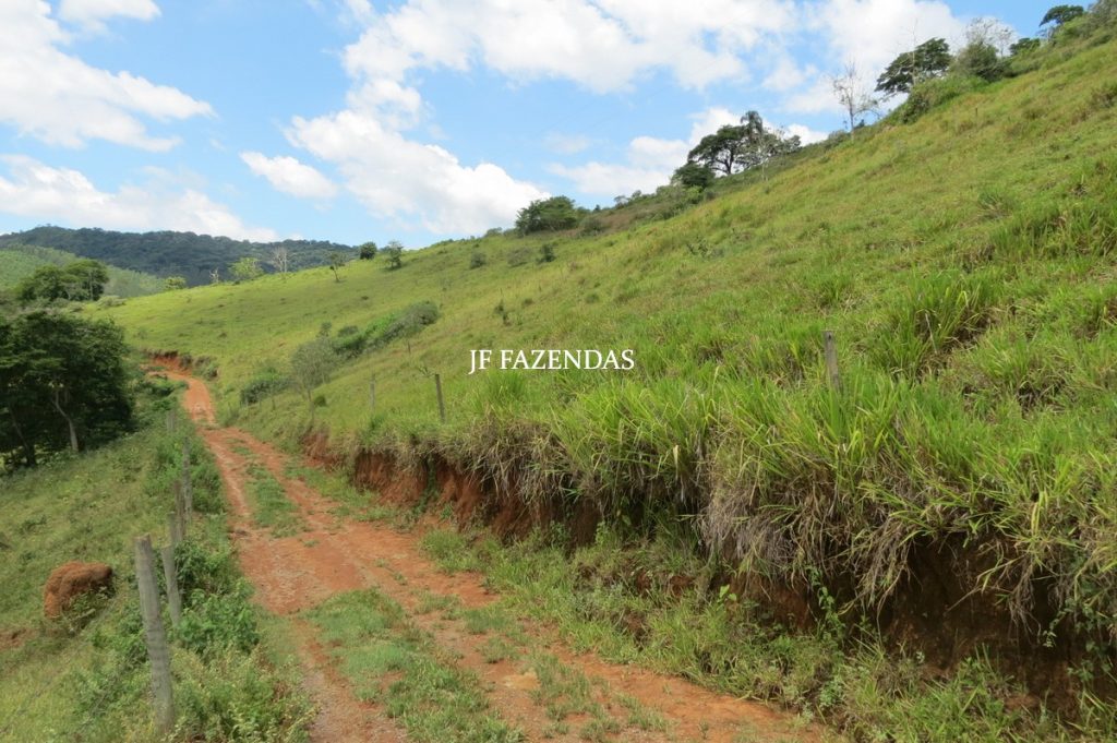 Sitio em Piau- MG -17.4 hectares Sitio em Piau- MG -17.4 hectares