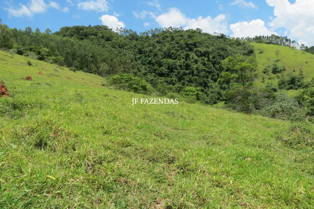 Sitio em Piau- MG -17.4 hectares Sitio em Piau- MG -17.4 hectares