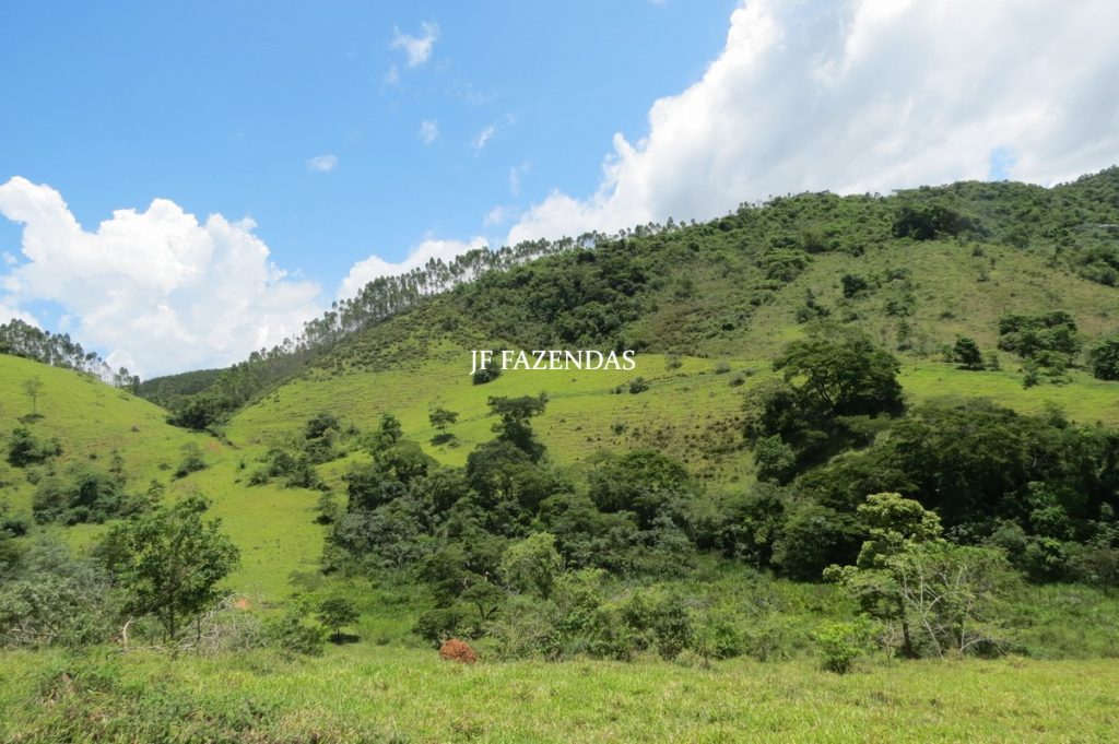 Sitio em Piau- MG -17.4 hectares Sitio em Piau- MG -17.4 hectares