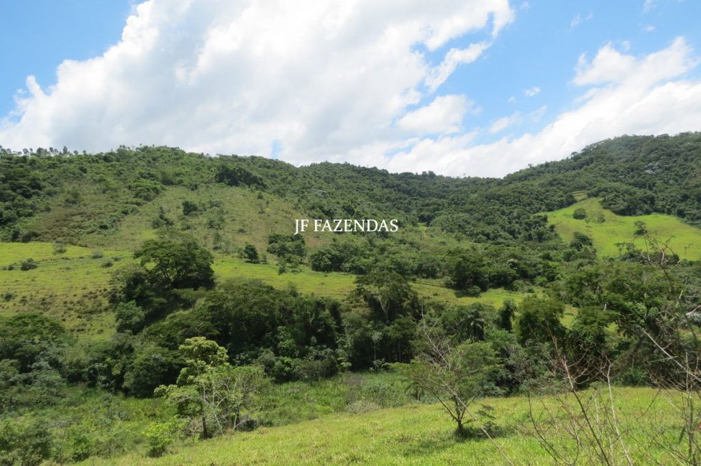 Sitio em Piau- MG -17.4 hectares Sitio em Piau- MG -17.4 hectares