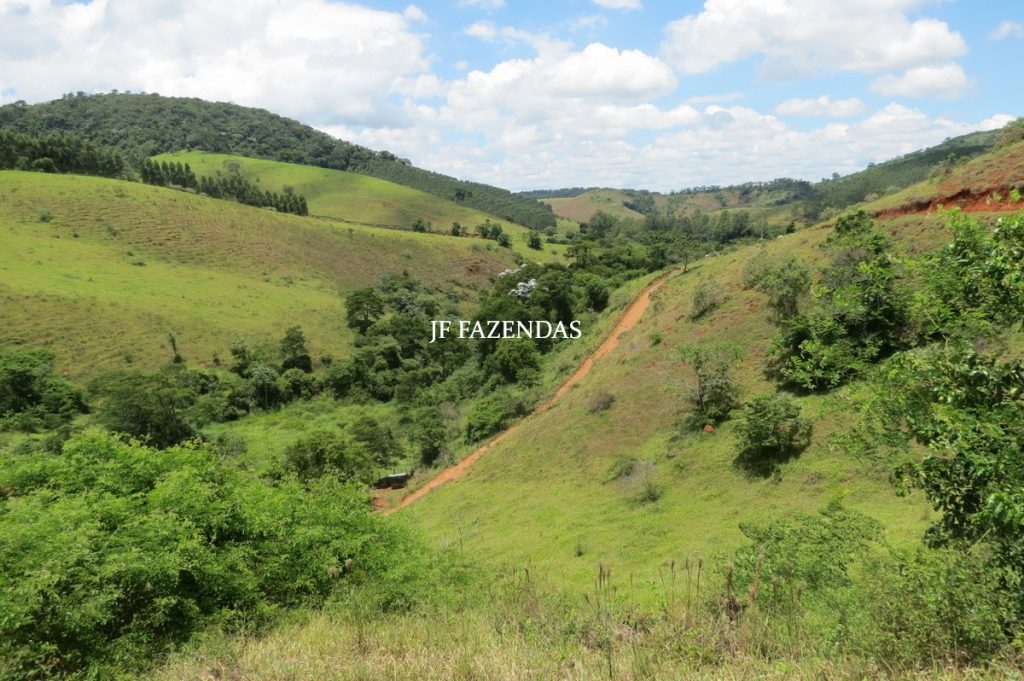 Sitio em Piau- MG -17.4 hectares Sitio em Piau- MG -17.4 hectares