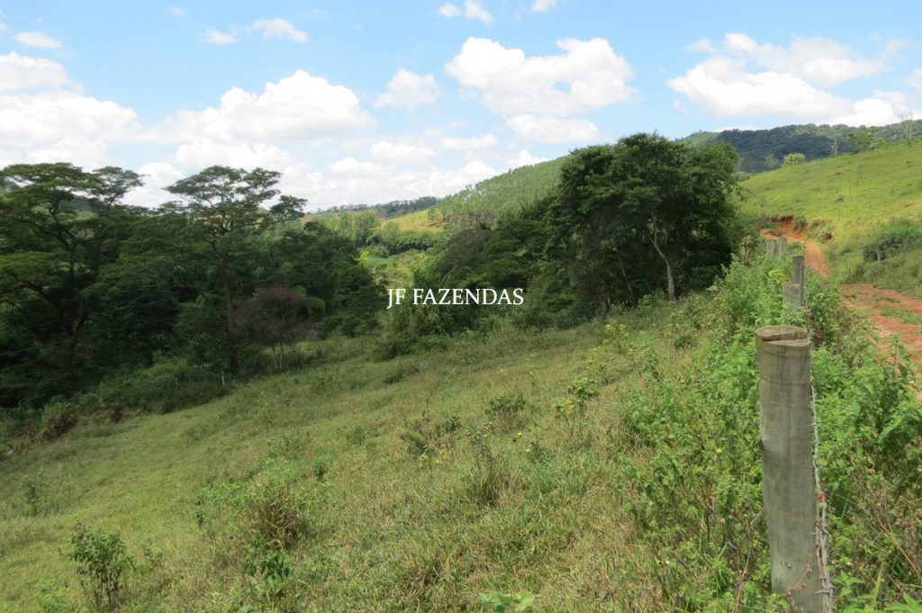 Sitio em Piau- MG -17.4 hectares Sitio em Piau- MG -17.4 hectares
