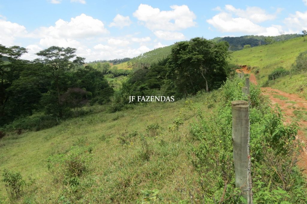 Sitio em Piau- MG -17.4 hectares Sitio em Piau- MG -17.4 hectares
