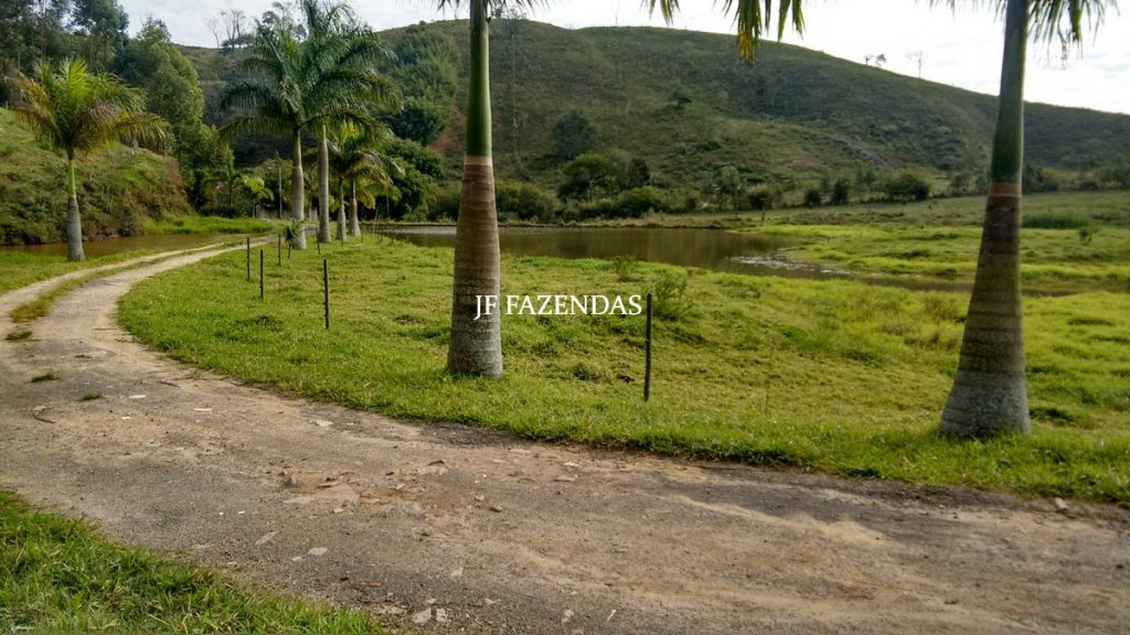 Sítio em Juiz de Fora – MG – 52 hectares Sítio em Juiz de Fora – MG – 52 hectares