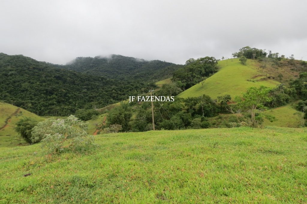 Fazenda em Maripá de Minas-MG – 206 hectares. Fazenda em Maripá de Minas-MG – 206 hectares.