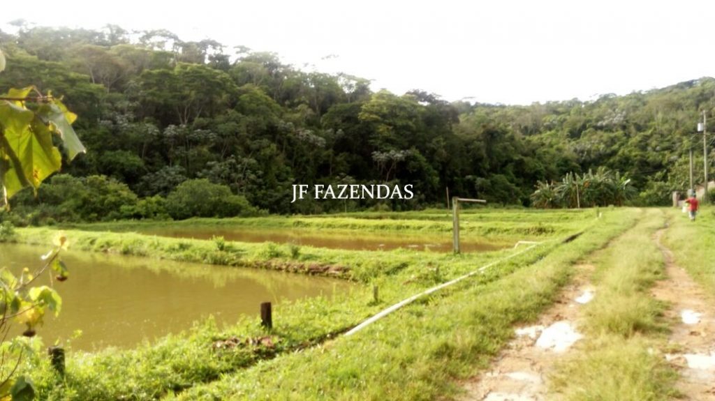Fazenda em Valença – RJ – 179.08 hectares