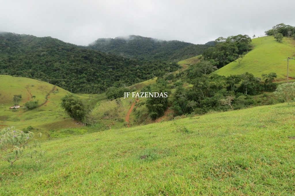 Fazenda em Maripá de Minas-MG – 206 hectares. Fazenda em Maripá de Minas-MG – 206 hectares.