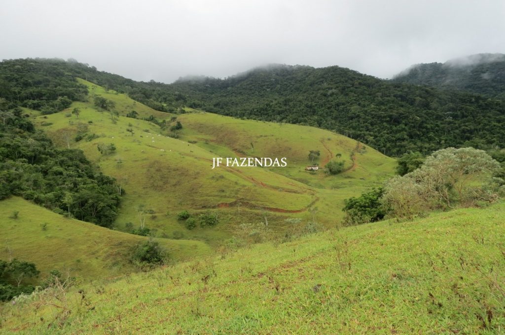 Fazenda em Maripá de Minas-MG – 206 hectares. Fazenda em Maripá de Minas-MG – 206 hectares.
