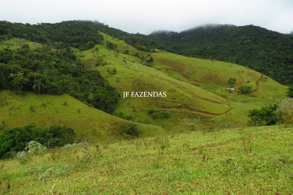 Fazenda em Maripá de Minas-MG – 206 hectares. Fazenda em Maripá de Minas-MG – 206 hectares.