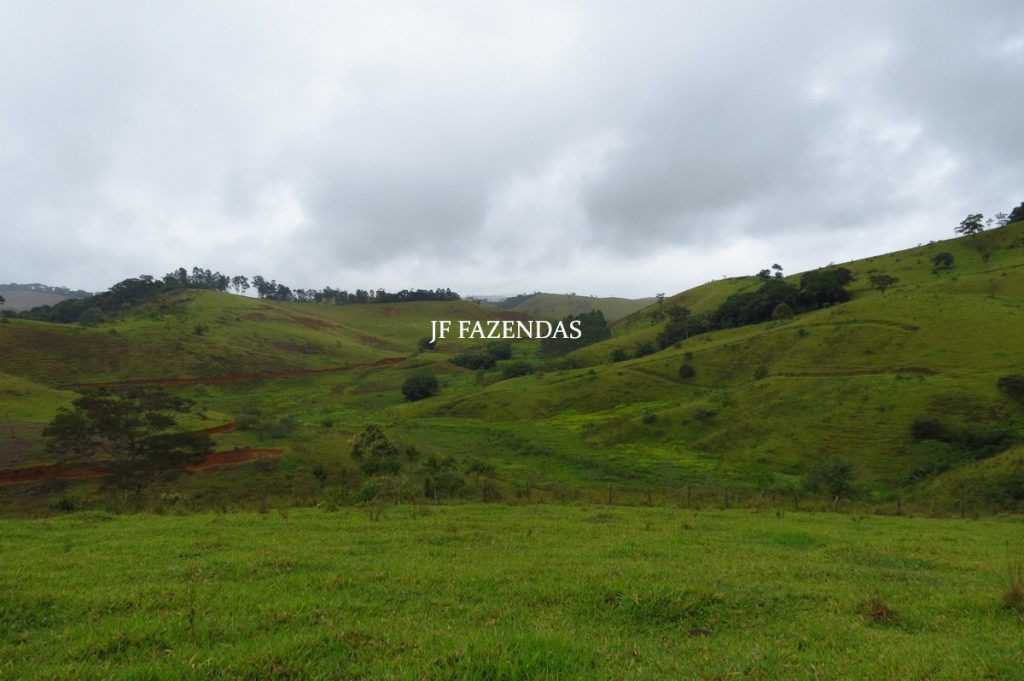 Fazenda em Maripá de Minas-MG – 206 hectares. Fazenda em Maripá de Minas-MG – 206 hectares.