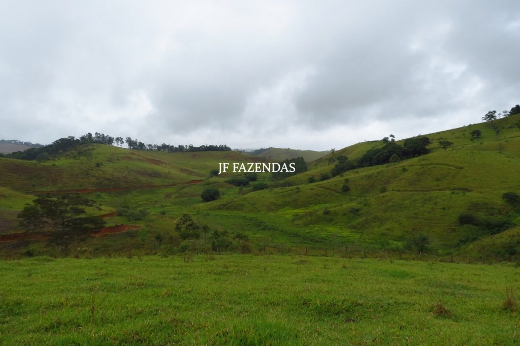 Fazenda em Maripá de Minas-MG – 206 hectares. Fazenda em Maripá de Minas-MG – 206 hectares.