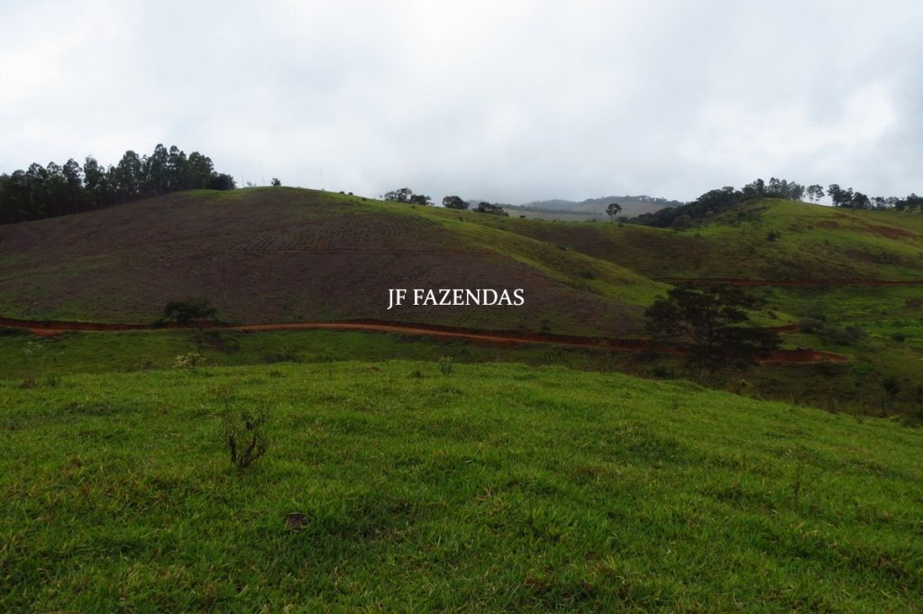 Fazenda em Maripá de Minas-MG – 206 hectares. Fazenda em Maripá de Minas-MG – 206 hectares.