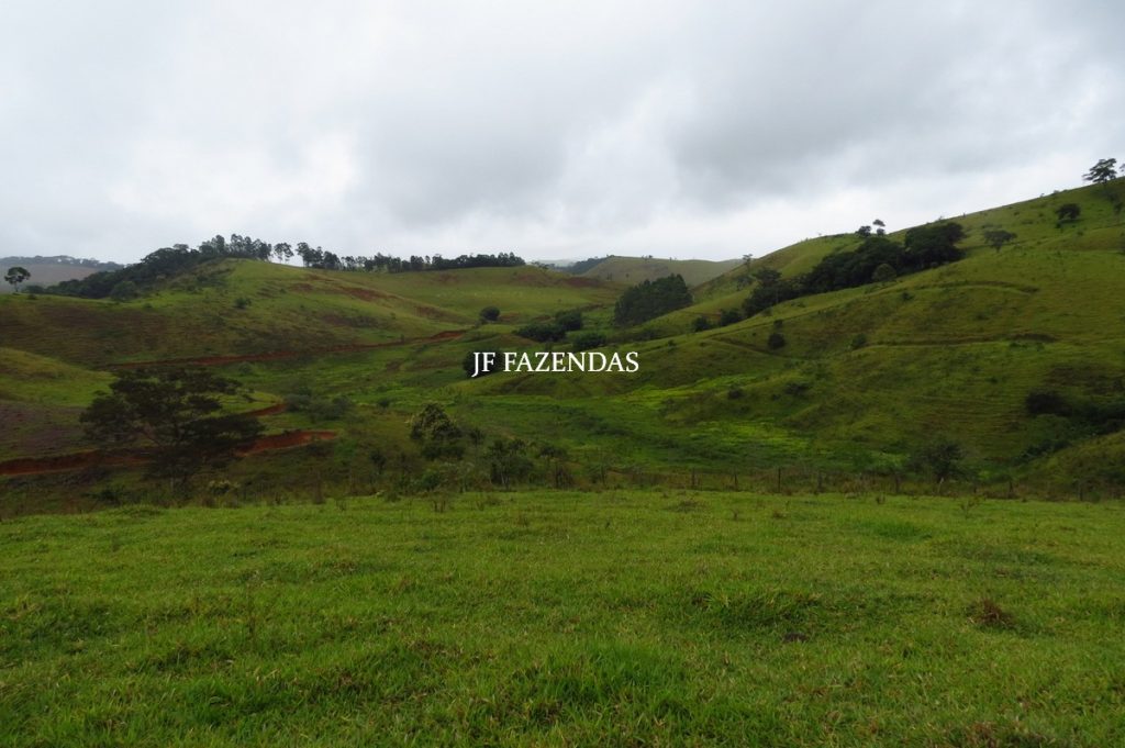 Fazenda em Maripá de Minas-MG – 206 hectares. Fazenda em Maripá de Minas-MG – 206 hectares.