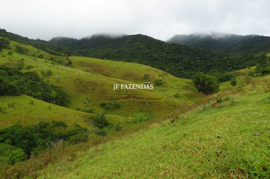 Fazenda em Maripá de Minas-MG – 206 hectares. Fazenda em Maripá de Minas-MG – 206 hectares.