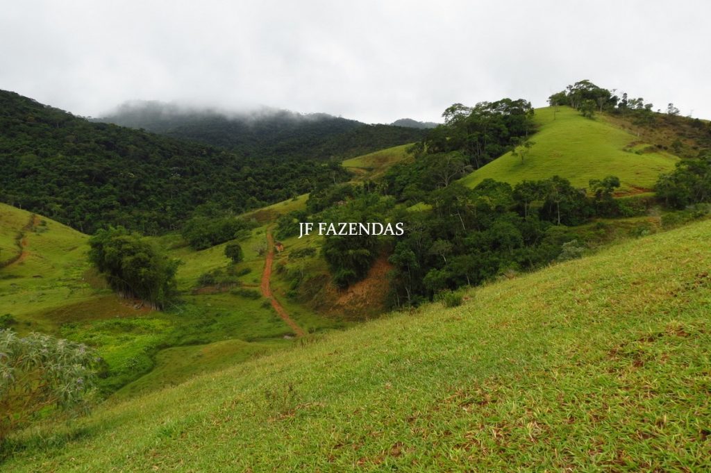 Fazenda em Maripá de Minas-MG – 206 hectares. Fazenda em Maripá de Minas-MG – 206 hectares.