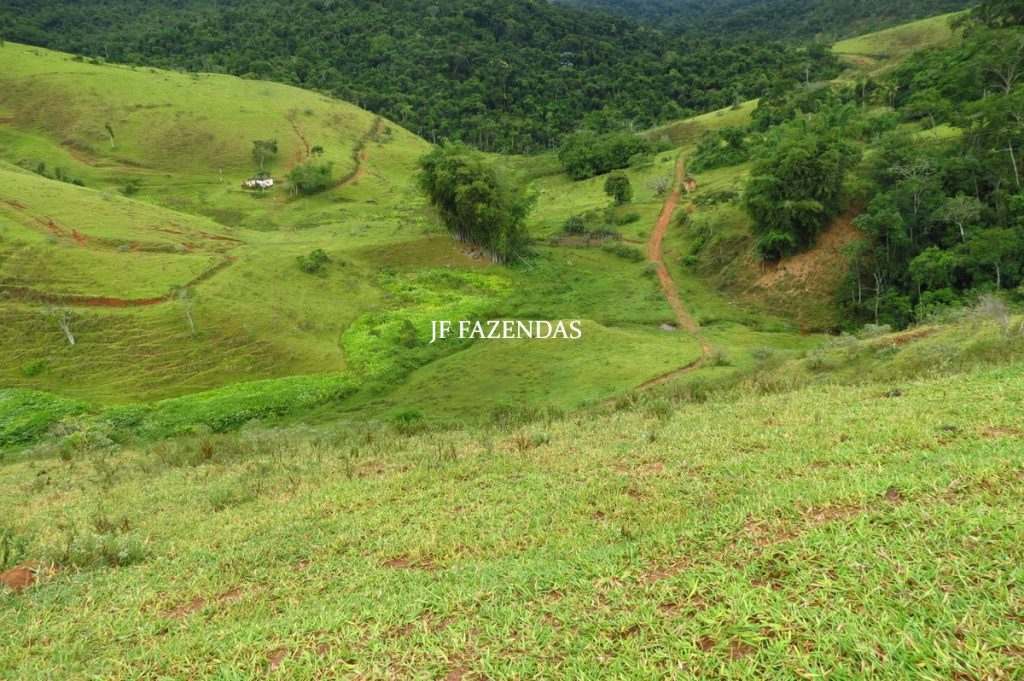 Fazenda em Maripá de Minas-MG – 206 hectares. Fazenda em Maripá de Minas-MG – 206 hectares.