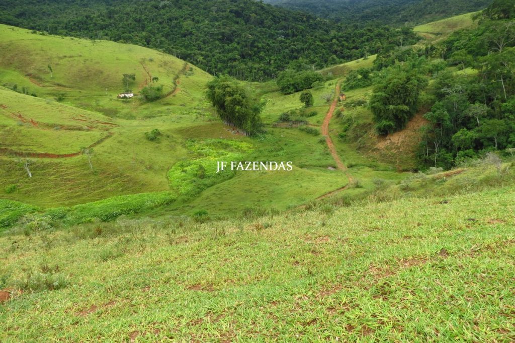 Fazenda em Maripá de Minas-MG – 206 hectares. Fazenda em Maripá de Minas-MG – 206 hectares.