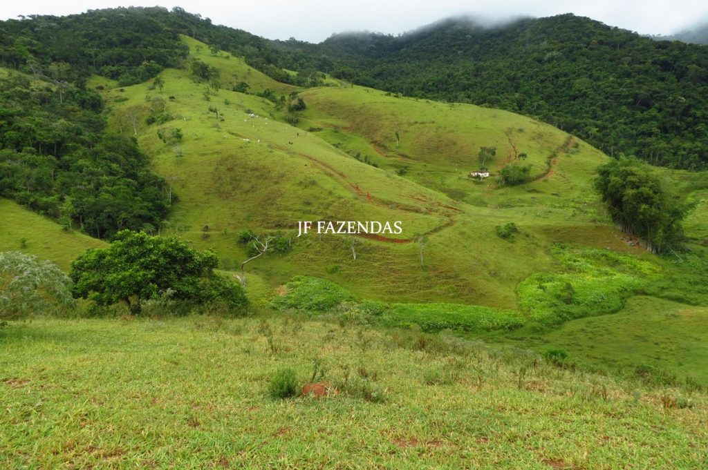 Fazenda em Maripá de Minas-MG – 206 hectares. Fazenda em Maripá de Minas-MG – 206 hectares.