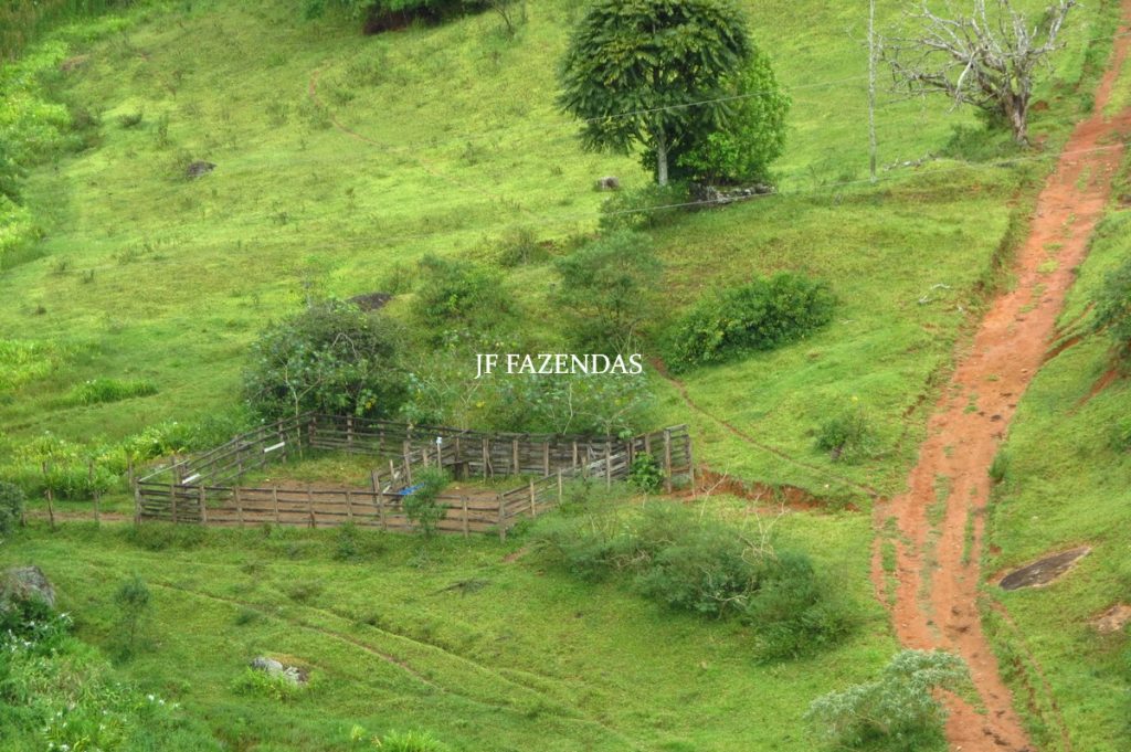 Fazenda em Maripá de Minas-MG – 206 hectares. Fazenda em Maripá de Minas-MG – 206 hectares.