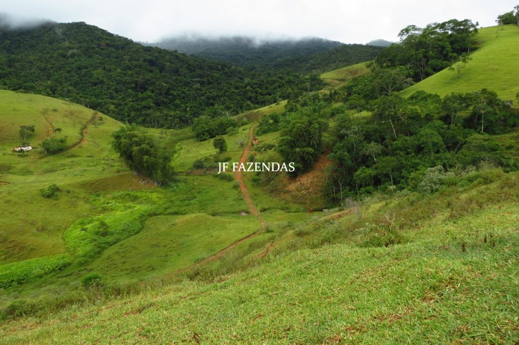 Fazenda em Maripá de Minas-MG – 206 hectares. Fazenda em Maripá de Minas-MG – 206 hectares.