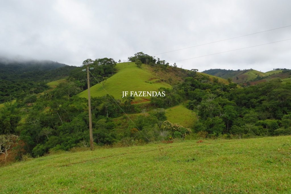 Fazenda em Maripá de Minas-MG – 206 hectares. Fazenda em Maripá de Minas-MG – 206 hectares.