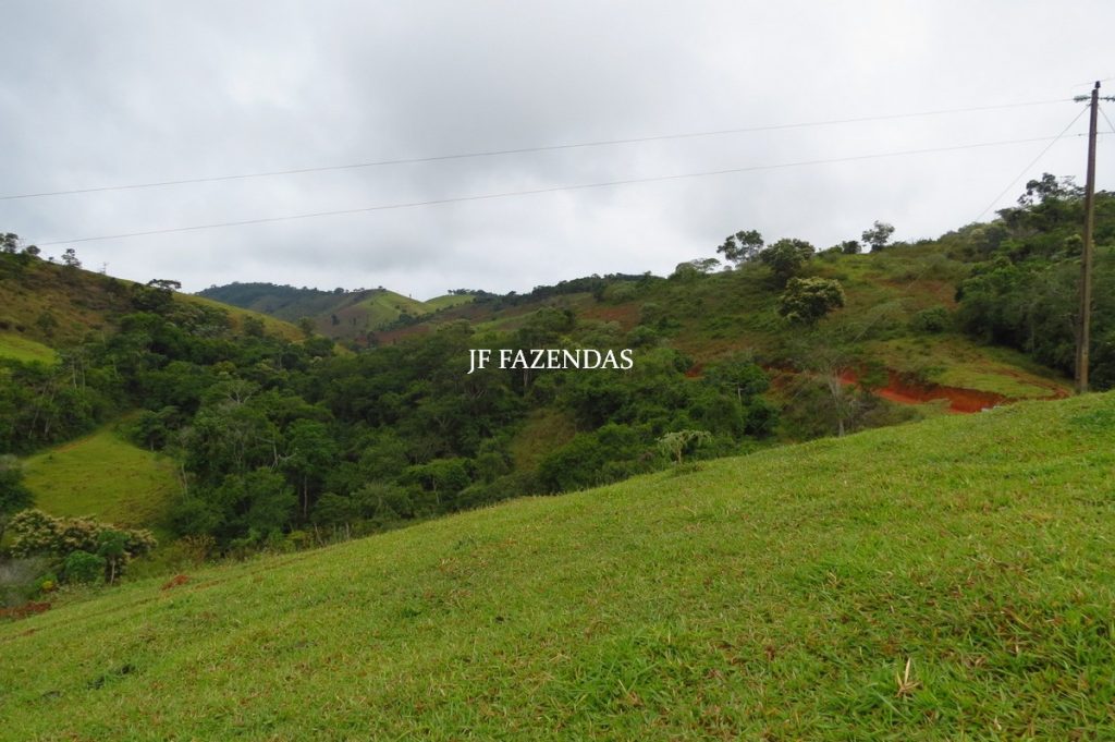 Fazenda em Maripá de Minas-MG – 206 hectares. Fazenda em Maripá de Minas-MG – 206 hectares.
