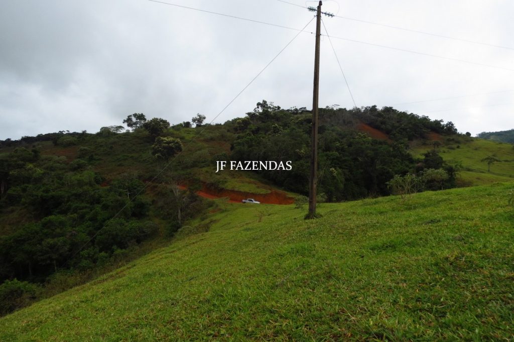 Fazenda em Maripá de Minas-MG – 206 hectares. Fazenda em Maripá de Minas-MG – 206 hectares.