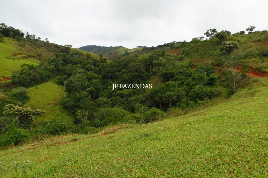 Fazenda em Maripá de Minas-MG – 206 hectares. Fazenda em Maripá de Minas-MG – 206 hectares.